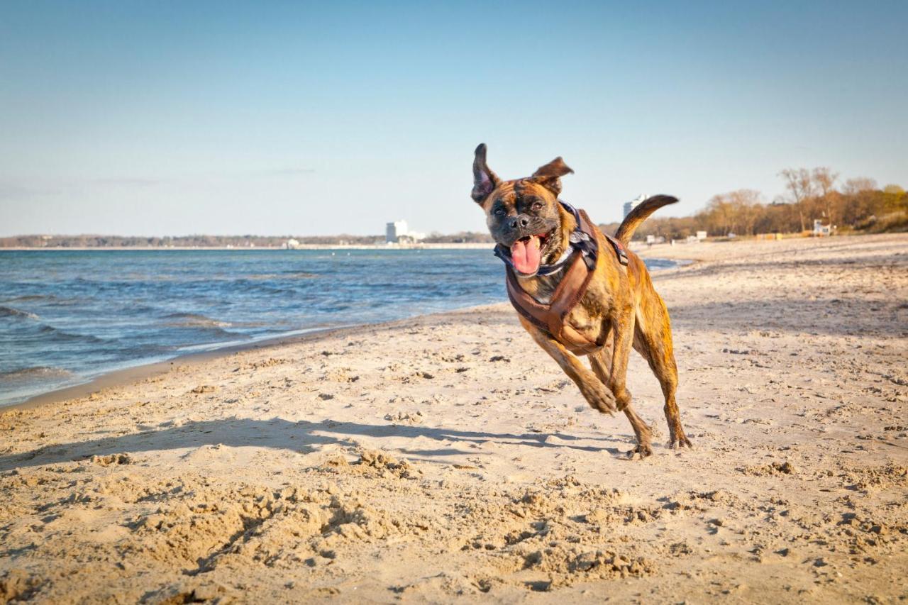 Ferienwohnung Stina Scharbeutz Exteriér fotografie